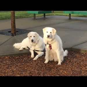 Meet your Posher, MiÃ©